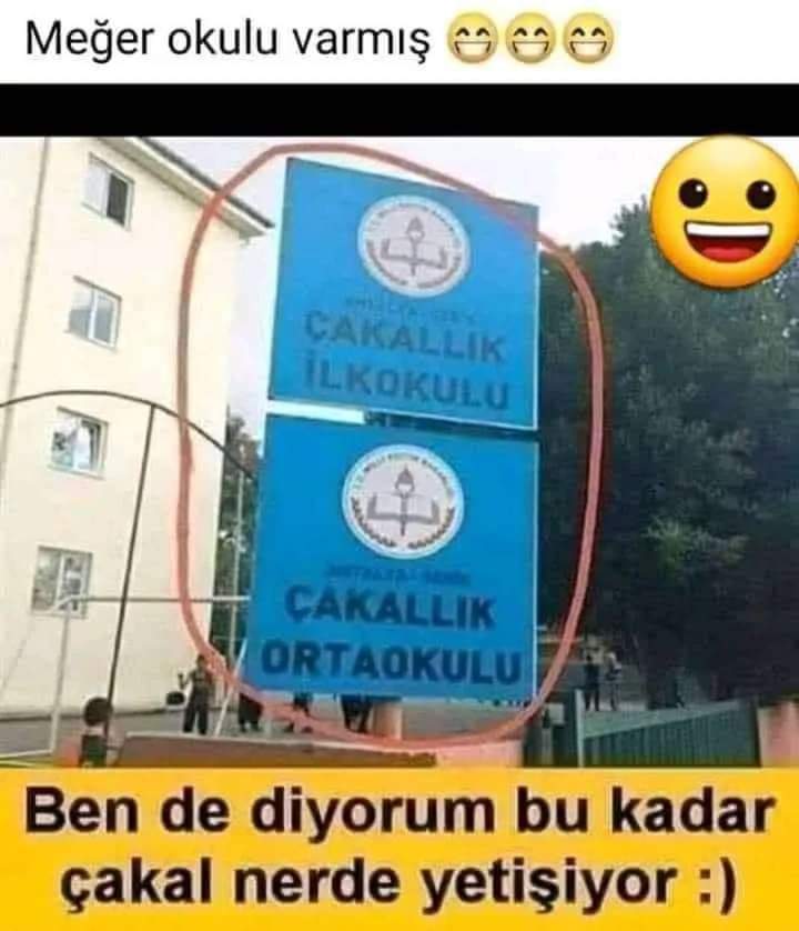 AncyraMan's tweet photo. #çarşamba #iyiaksamlar #GeceyeBirNot #kusadasi
Aramaya devam yüksek lisansı nerede yapıyorlar.. 🤔🙄🤷‍♂️ https://t.co/iOTBgz9O1p