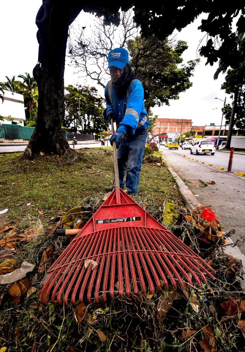 Nuestros HÉROES de azul 👨‍🔧🍃 han estado trabajando en la recuperación de las zonas verdes del separador de la avenida Ferrocarril. 🛤️ ¡Te invitamos a cuidarlo y a disfrutar de su hermosa naturaleza! 🌳🩷