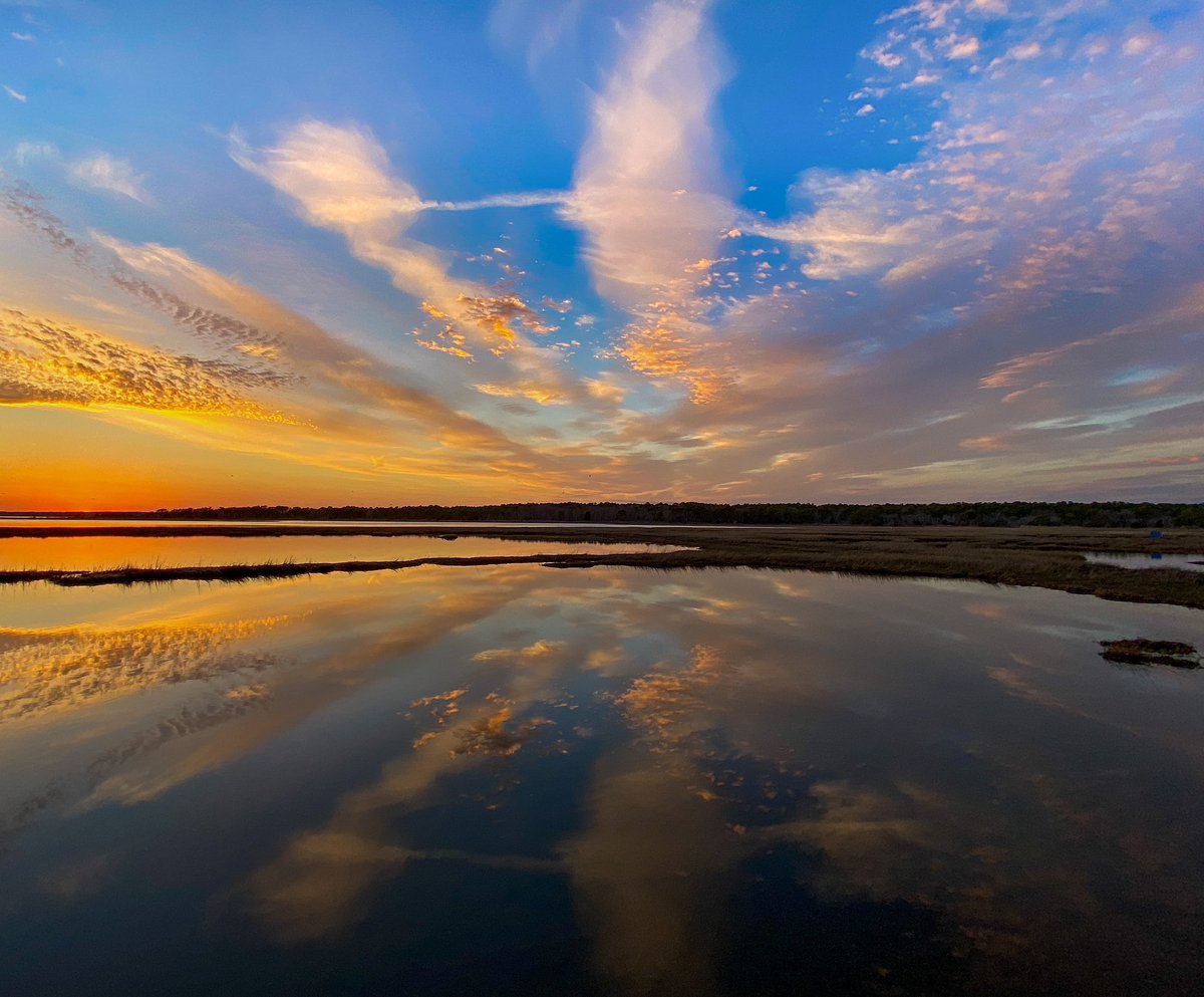 Claire Zoe tweet media