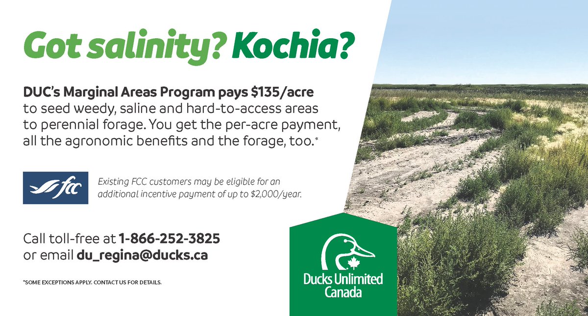 DUC is currently offering our fall marginal areas program (MAP). You can take the per acre payment or have your acres seeded for you! If you’re an FCC customer, you could receive up to an extra $2000/year !

Learn more and apply here: loom.ly/wmgc_J0