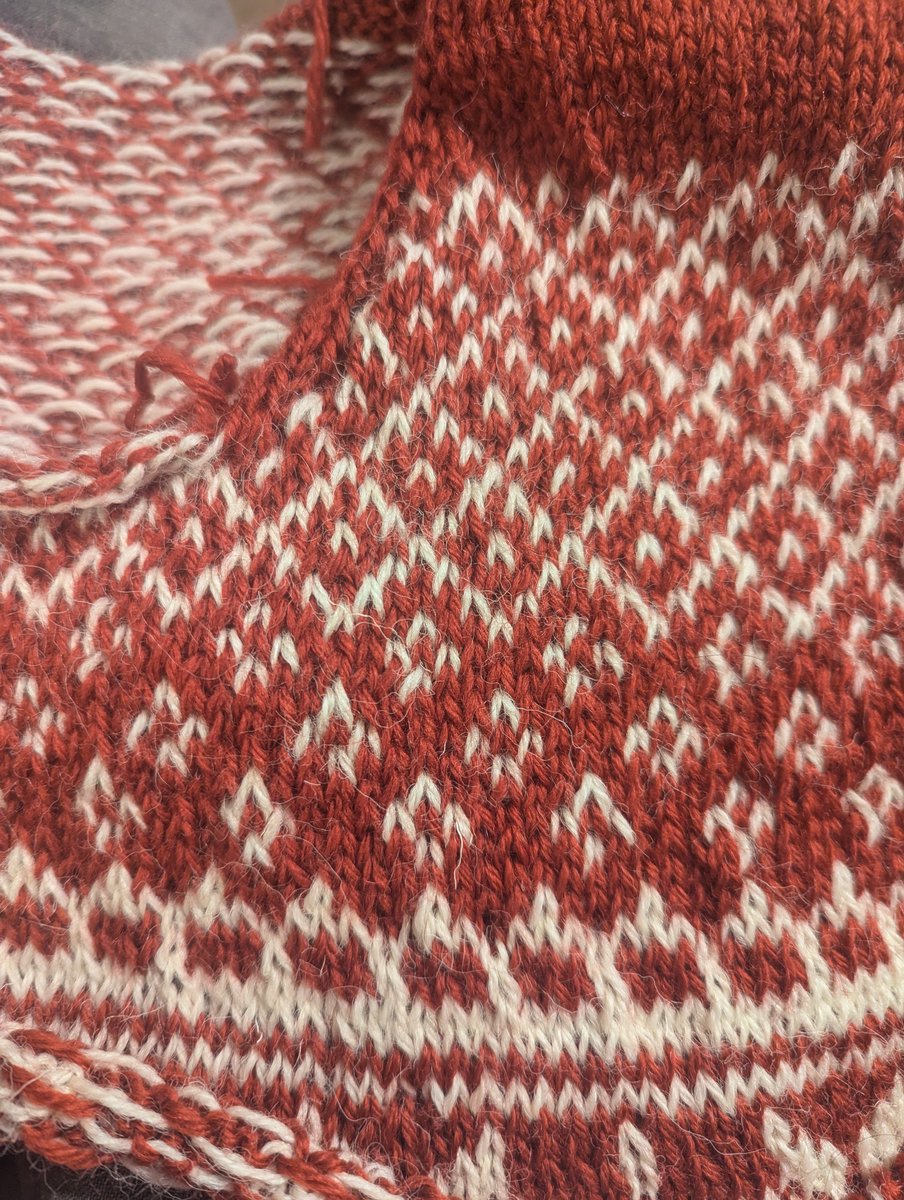 Becca (Bluebell Yarns) tweet media