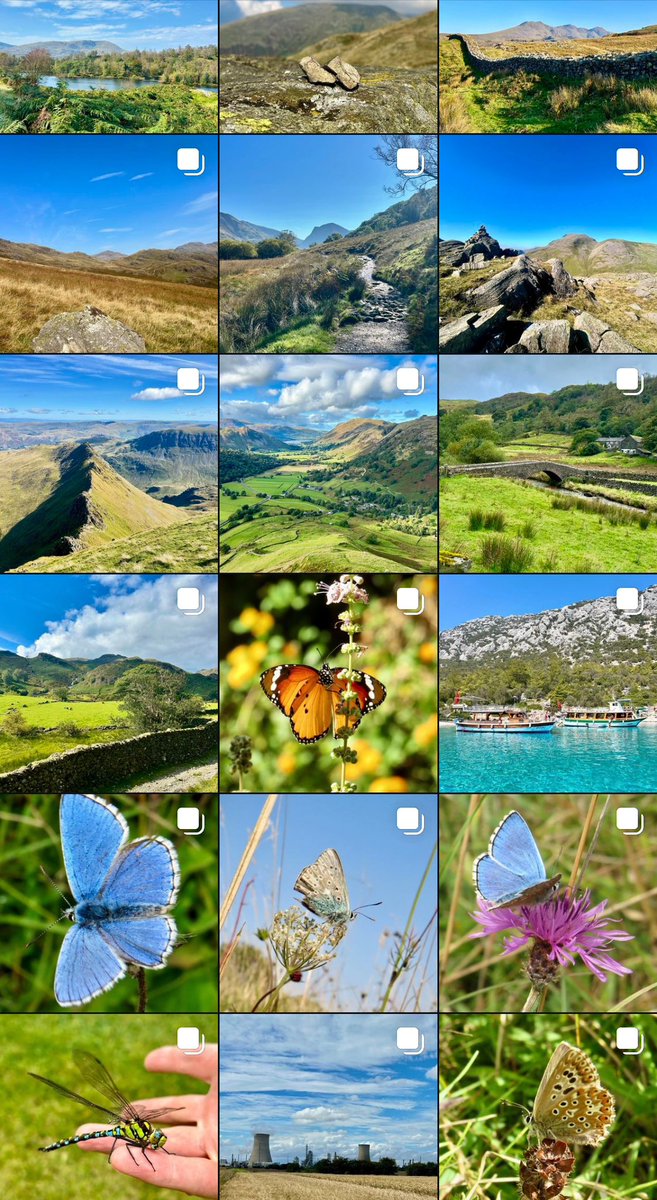 I’m decoupling myself from this platform. A coarse owner has turned my visits here unpalatable. Fair play to those good people who choose to remain, but my pictures, stories and thoughts will now only be posted on Instagram: aleator1962. See below for a flavour. 🌿🦋