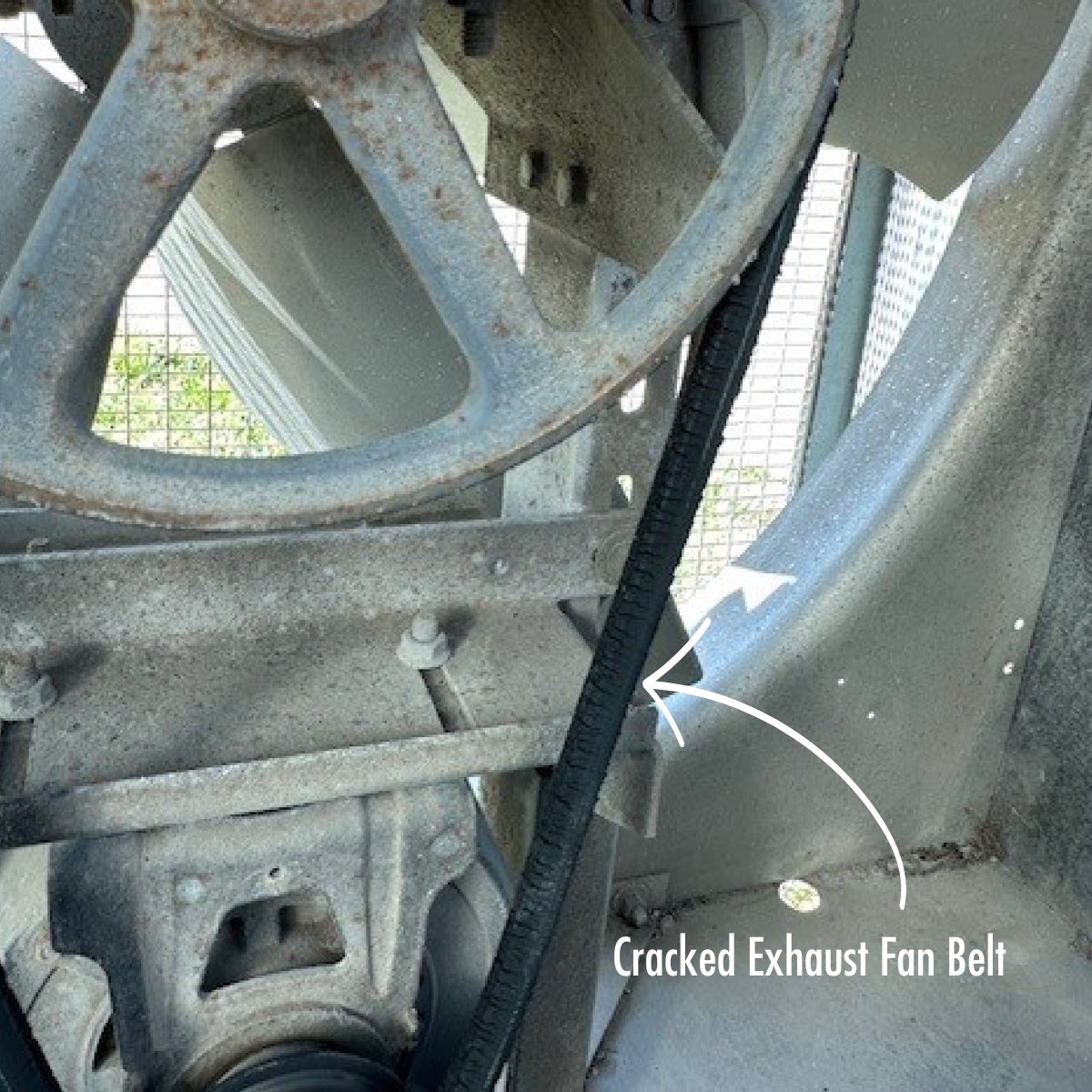 Noticing cracks or brittleness in your exhaust fans? It might be time for a replacement! Keep airflow efficient and your plants thriving—give us a call for high-quality replacement parts and keep your greenhouse running smoothly.

#StrongerWithStuppy #greenhousemaintenance