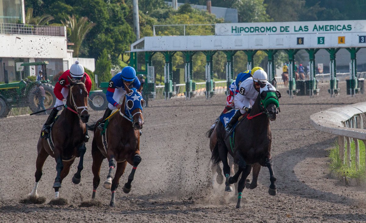 México no participará en la Serie Hípica del Caribe 2024. Los ejemplares de C.San Jorge como C.San Isidro, que habían conseguido un lugar para Venezuela no harán el viaje,así lo dieron a conocer integrantes de cada equipo a este periodista. <a href="/diezfurlongs/">𝟏𝟎 𝐅𝐮𝐫𝐥𝐨𝐧𝐠𝐬</a> <a href="/ConfCaribe/">Conf. Hípica Caribe</a> <a href="/HipismoNet/">Hipismo.Net</a>