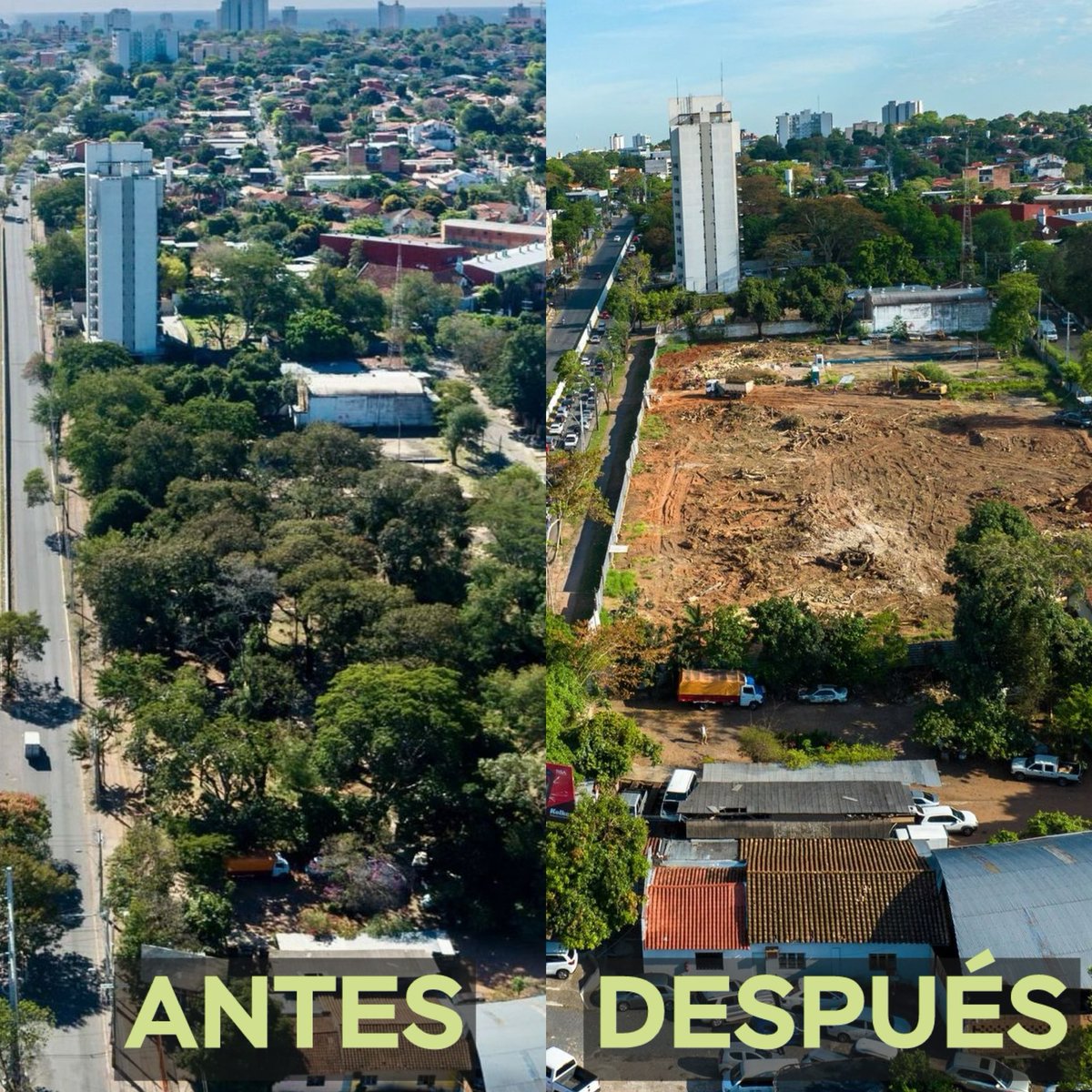El barrio San Vicente perdió su último pulmón verde tras la tala de más de 100 árboles, autorizada por la Municipalidad de Asunción para dar paso a la construcción de un supermercado.

Este espacio verde desempeñaba un papel crucial en la protección del arroyo Ferreira, ayudando