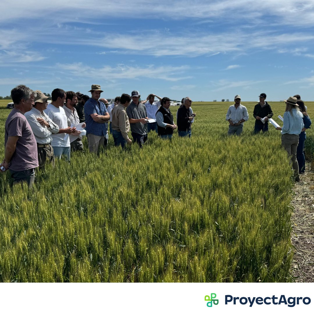 ProyectAgro tweet media