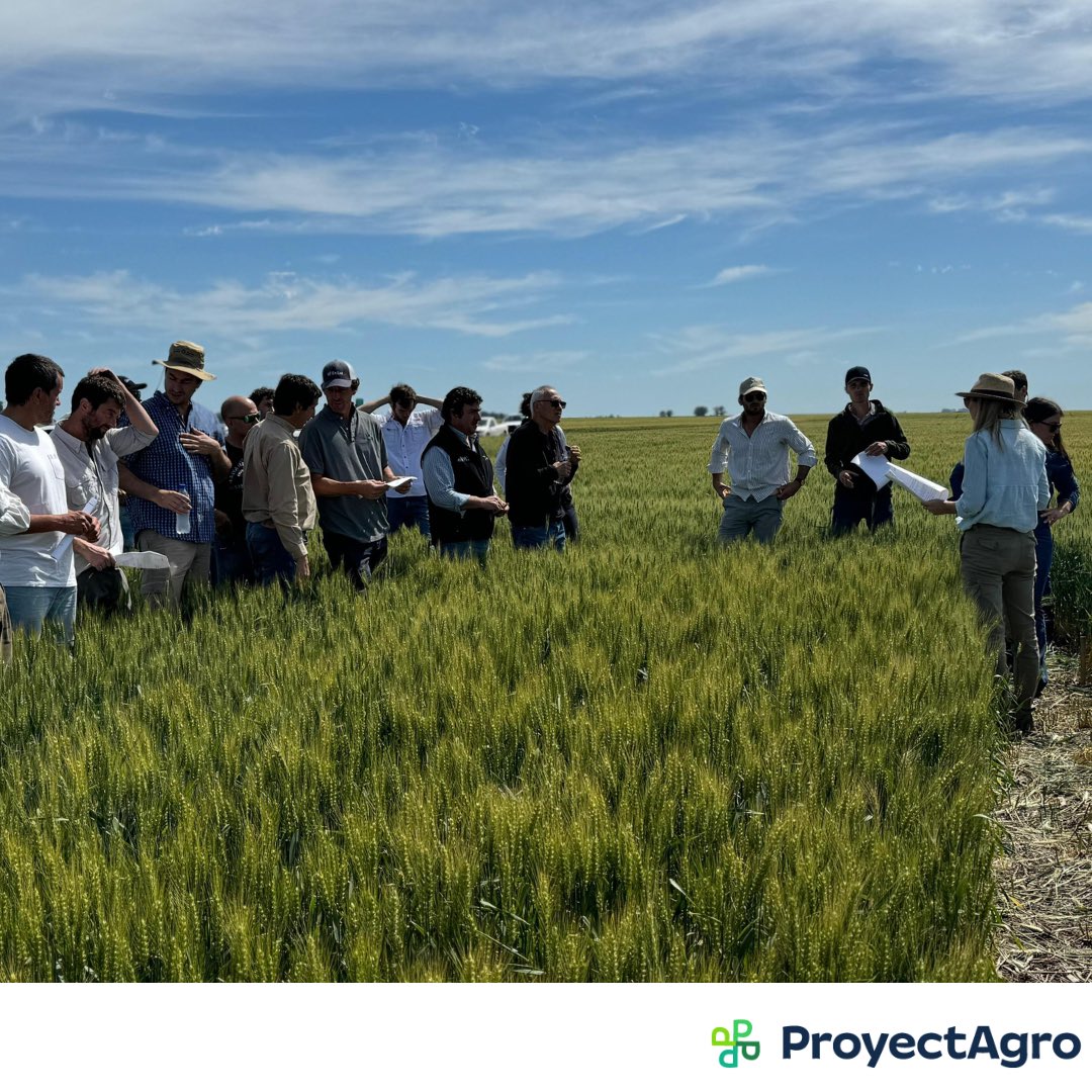 ProyectAgro tweet media