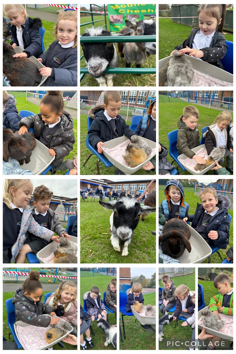 Mrs Fisher tweet media