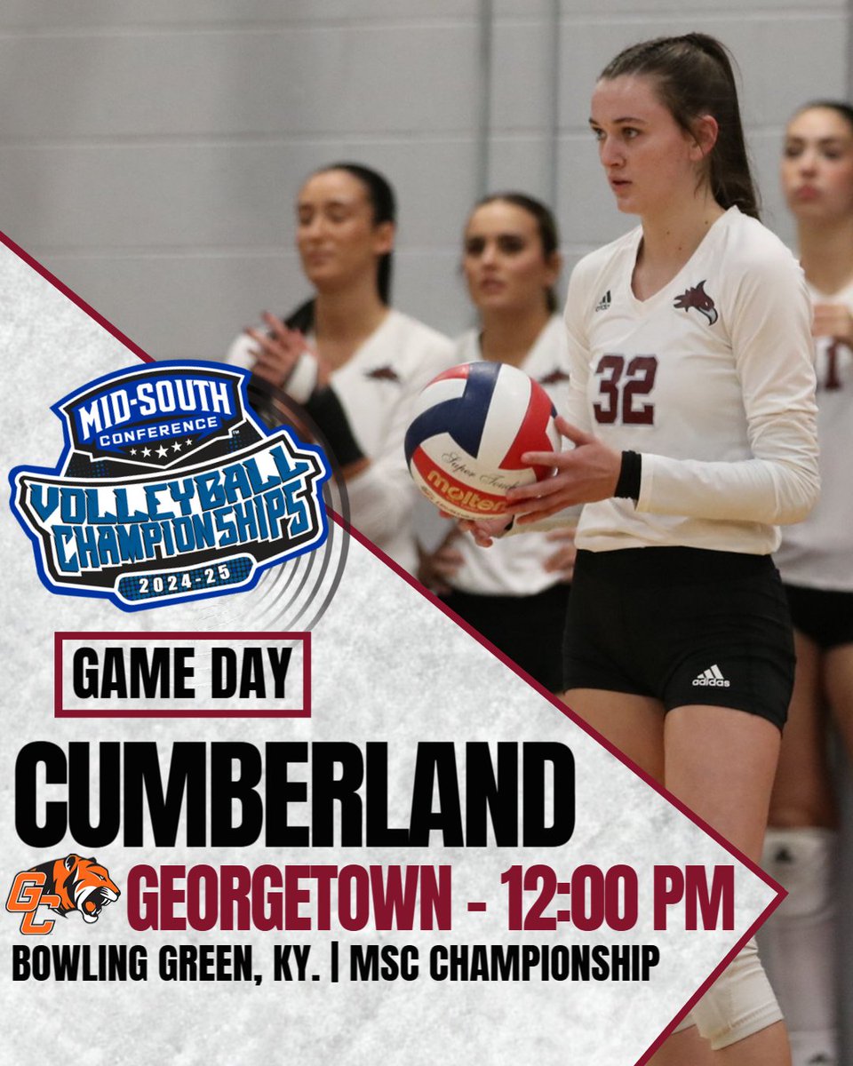 Cumberland Phoenix (@gocuphoenix) on Twitter photo TOURNEY TIME!!
🆚 <a href="/GCAthletics/">GC Athletics - #TigerPride</a>
📍 Bowling Green, Ky.
⏰ 12:00 PM CT
📺 team1sports.com/midsouth/?B=15…📊 tinyurl.com/yra3pyn4
#WeArePhoenix | <a href="/CumberlandVB/">Cumberland Women’s Volleyball</a> TOURNEY TIME!!
🆚 <a href="/GCAthletics/">GC Athletics - #TigerPride</a>
📍 Bowling Green, Ky.
⏰ 12:00 PM CT
📺 team1sports.com/midsouth/?B=15…📊 tinyurl.com/yra3pyn4
#WeArePhoenix | <a href="/CumberlandVB/">Cumberland Women’s Volleyball</a>