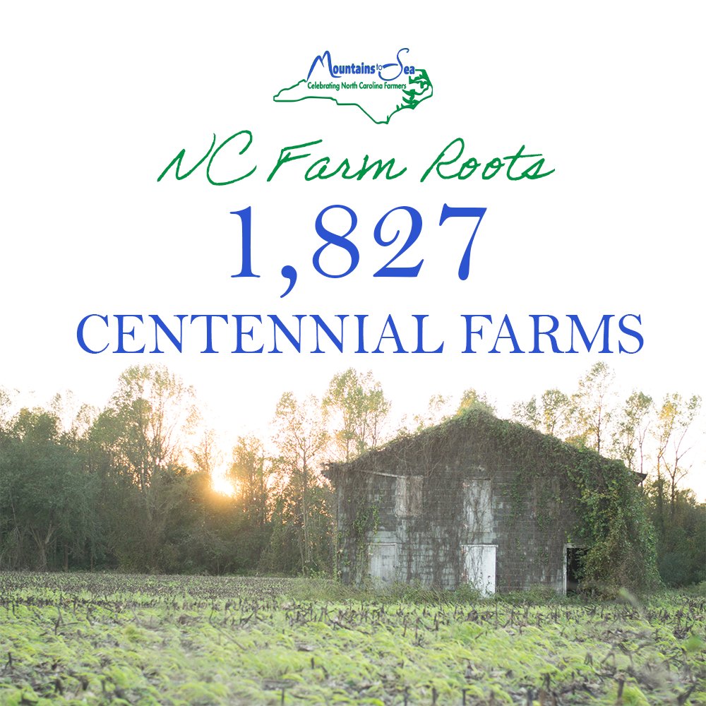 TYNCFarmers's tweet photo. North Carolina has deep roots in agriculture. Over 1,800 of our farms are considered Century Farms (farms that have been in continuous family ownership for 100 years).  What an amazing legacy!
#ncfarmersappreciationday #CelebrateFarmers #mountainstosea https://t.co/V4A3ejYOK3