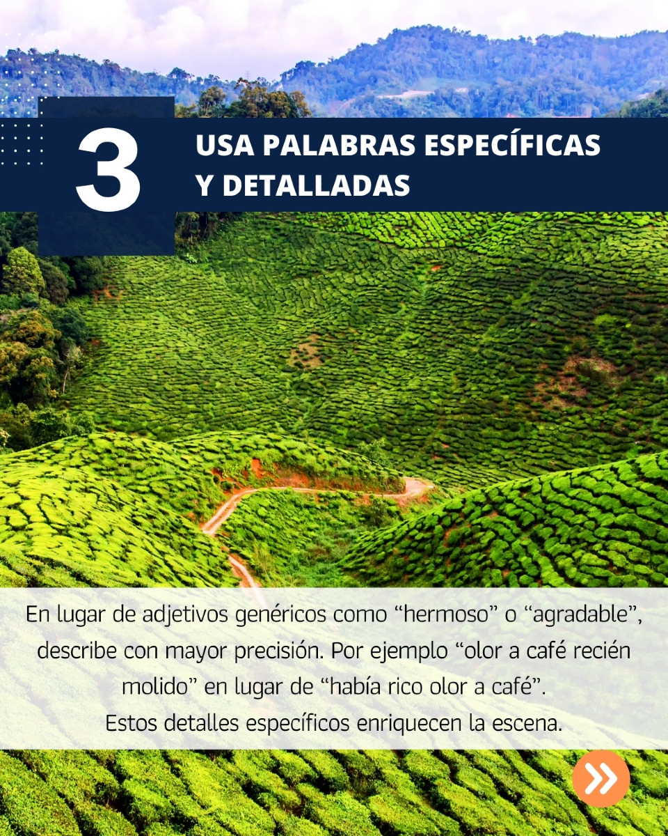 School of Travel Journalism tweet media