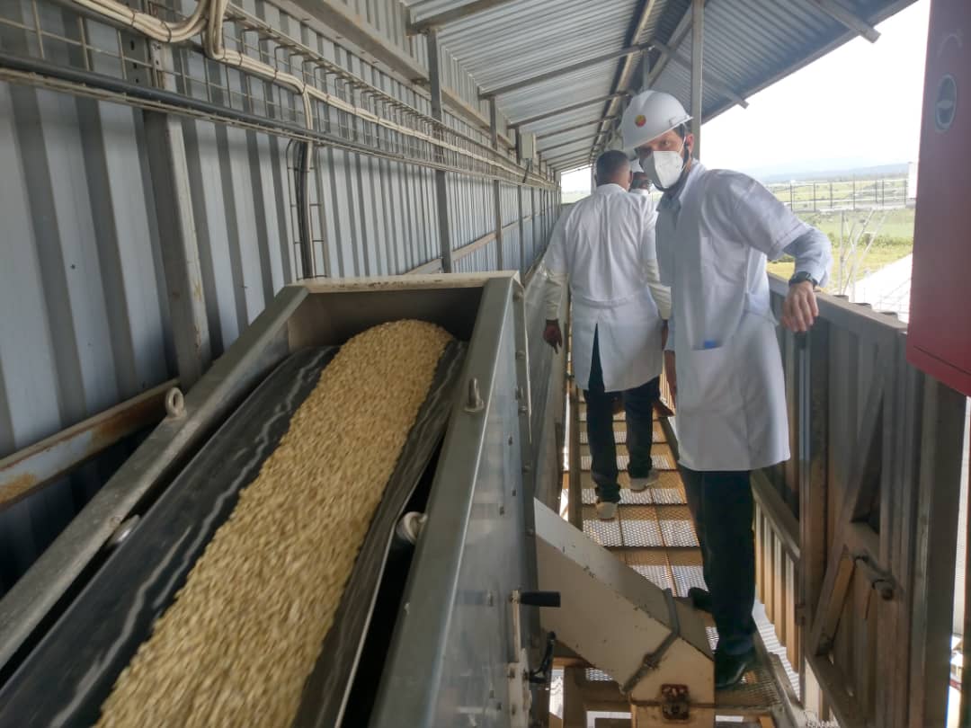 BelgiumRwanda's tweet photo. 🌾Chargé d'Affaires @diplaurent, @EnabelinRwanda Country Director @VirginieHa44661 and PS @RwandaAgri @olivikam visited silos constructed as part of the 2019-2024 🇷🇼🤝🇧🇪 cooperation in @NyagatareDistr.
📈 The silos increase national grain reserves from 8,000MT to 18,000MT https://t.co/oMDJH3rq3e