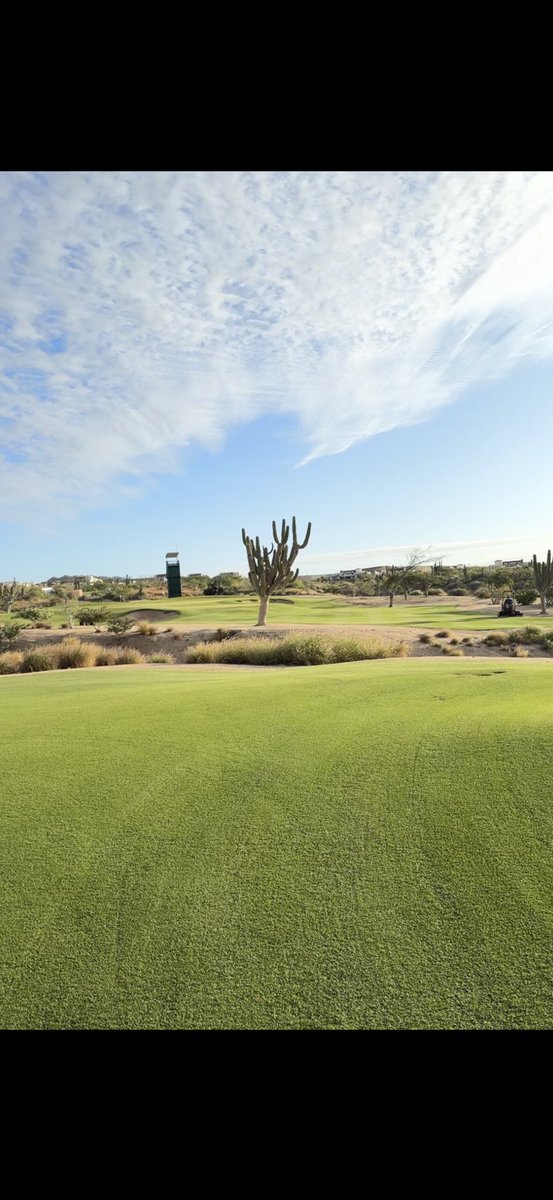 Nath Davis tweet media