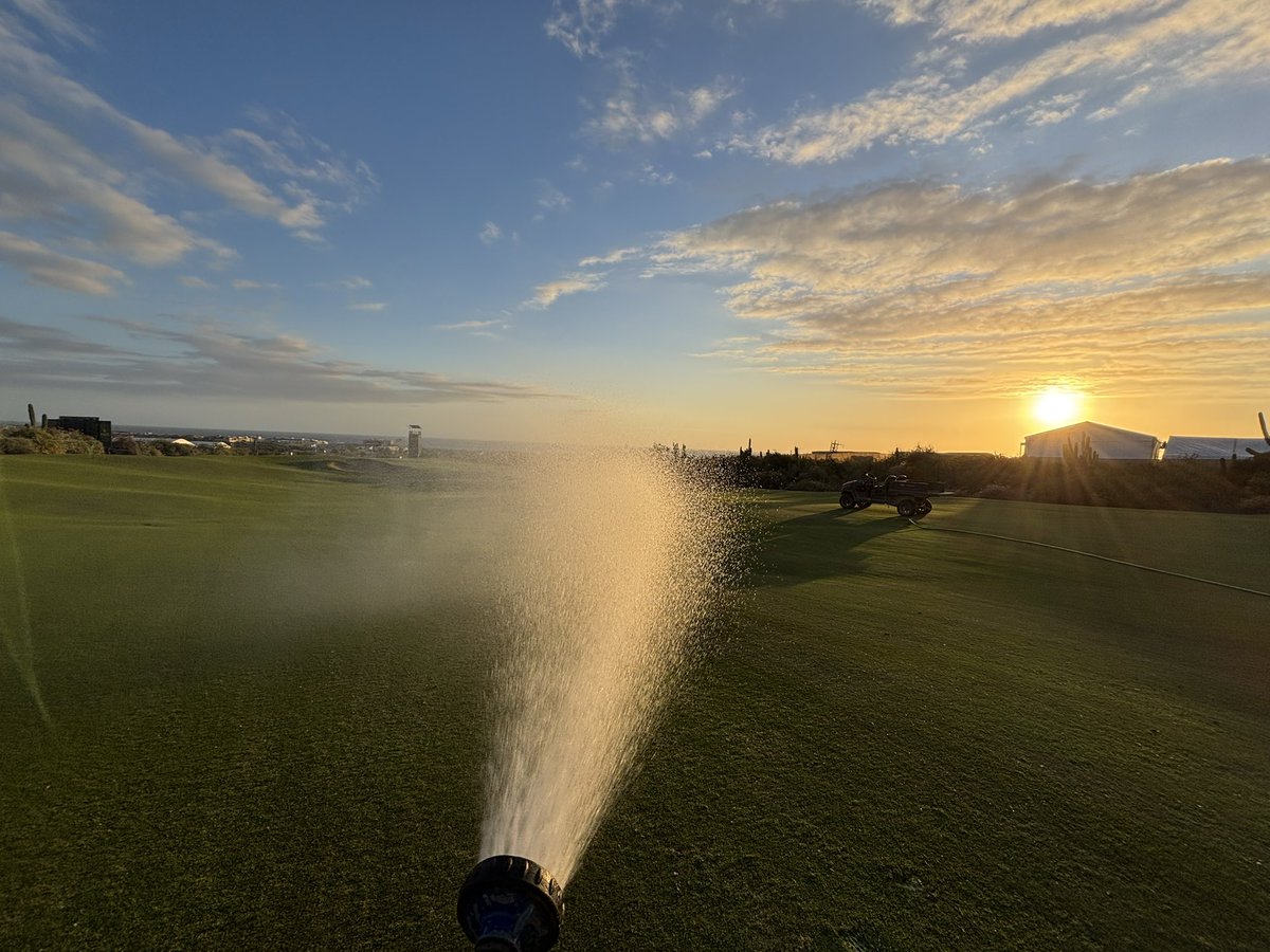 Nath Davis tweet media