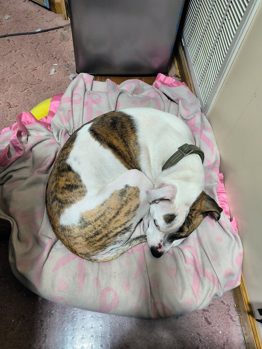 Averi Jaye tweet media