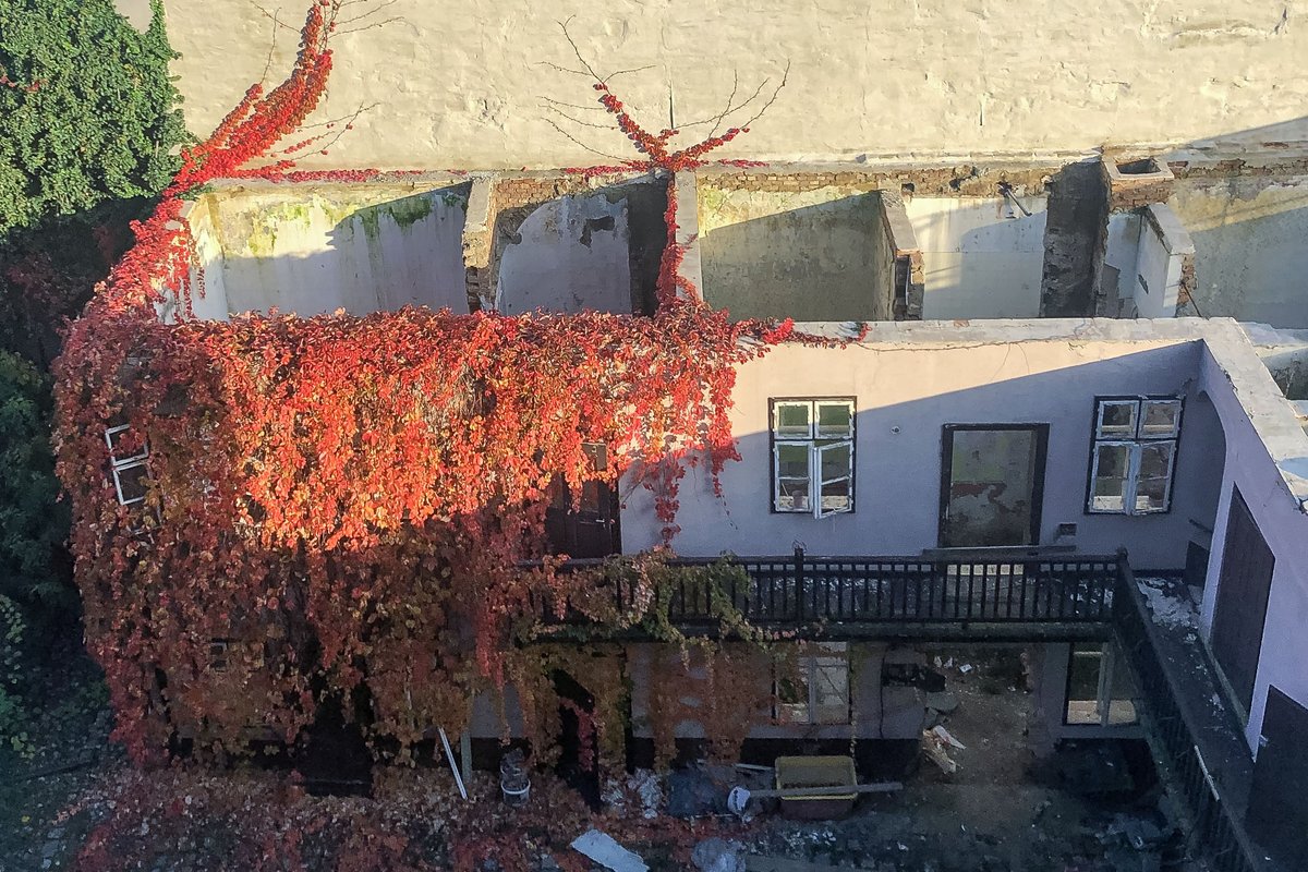 Seit zwei Jahren(!) fehlt bei einem Biedermeierhaus im 12. Bezirk, nahe Schönbrunn, das Dach. Wie kann das nur sein?
Adresse: Schönbrunner Straße 276
Foto: anonym
wienschauen.at/schoenbrunner-…