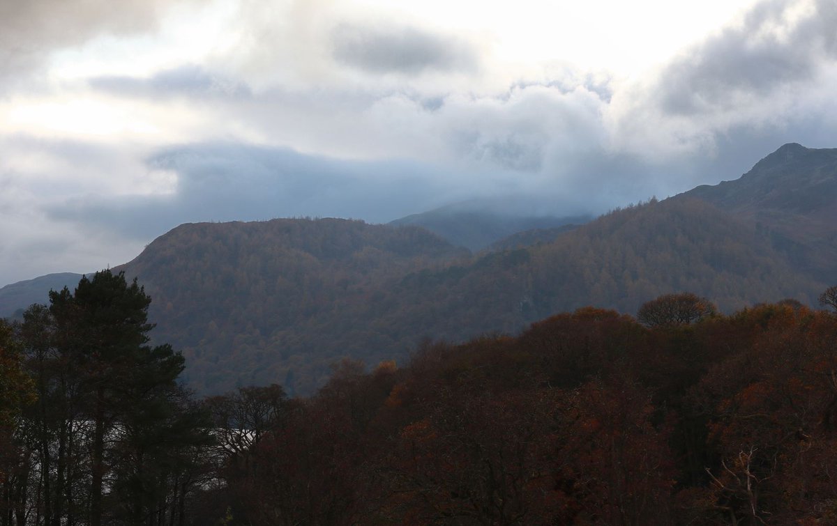 #LakeDistrictDiary day 3
Visited the beautiful Herdwick photo exhibition at Rheged, then a short stroll along part of the Ullswater Way before a stop in the Aira Force tea shop. Spectacular colours alongside😊🐏🫖🍰