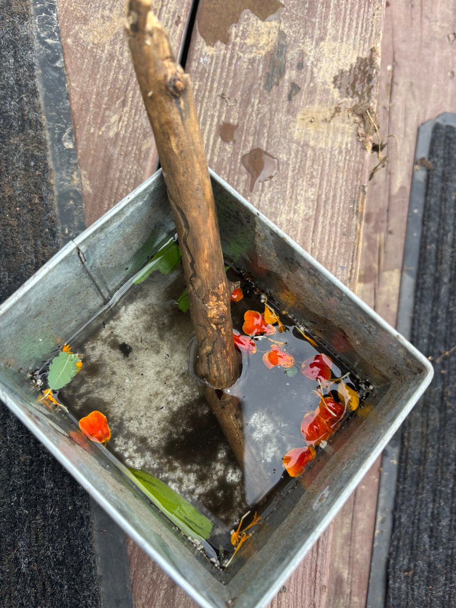 getawarrant tweet media