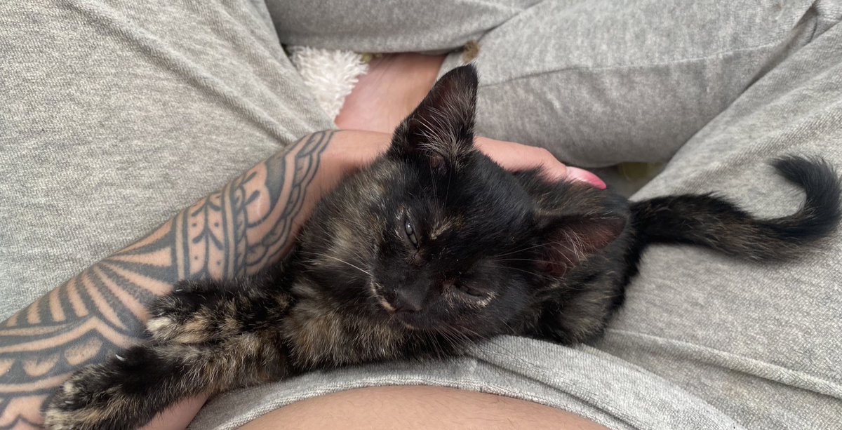 うちはイタチ tweet media