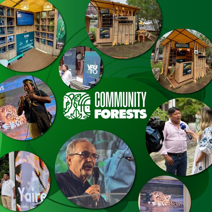 thecforests's tweet photo. 🙌💚 Gracias a todos en la #COP16 por apoyar nuestra misión de preservar la biodiversidad junto a las comunidades locales. Juntos, construimos un futuro sostenible. #TheCommunityForests #Biodiversidad https://t.co/X0sMglSfSL