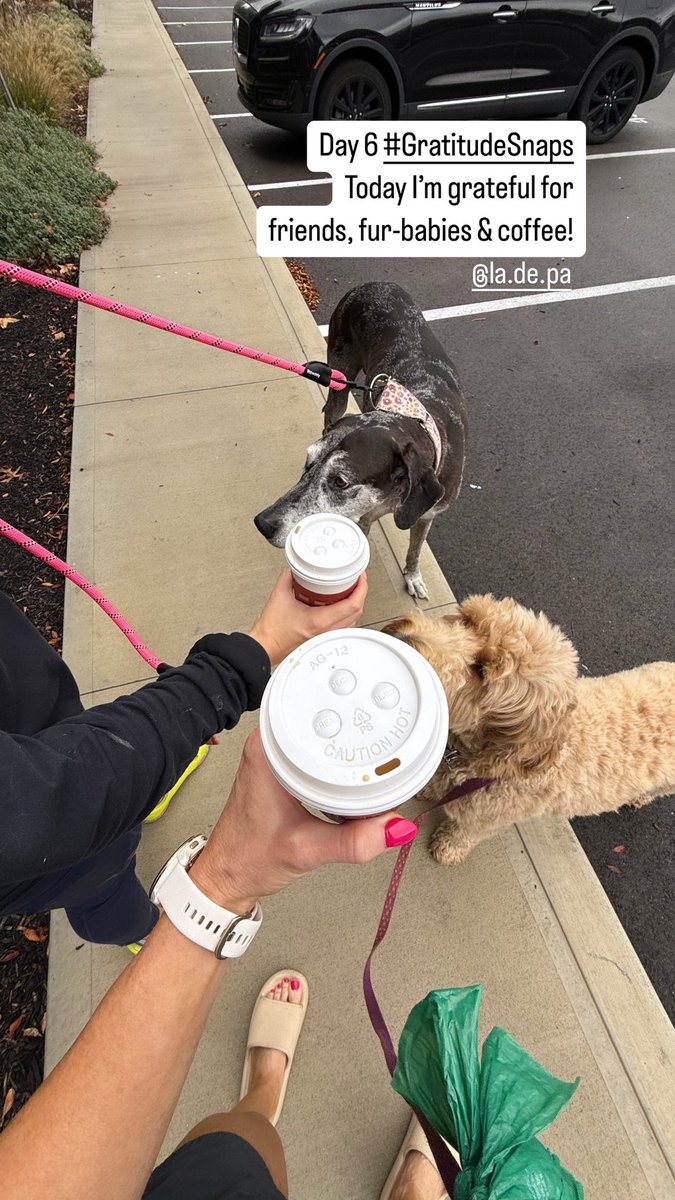 TaraMartinEDU's tweet image. Day 6 #GratitudeSnaps
Today I’m grateful for friends, fur-babies &amp;amp; coffee!

#tlap #BookSnaps #MLmagical #RealEdu #dbcincbooks