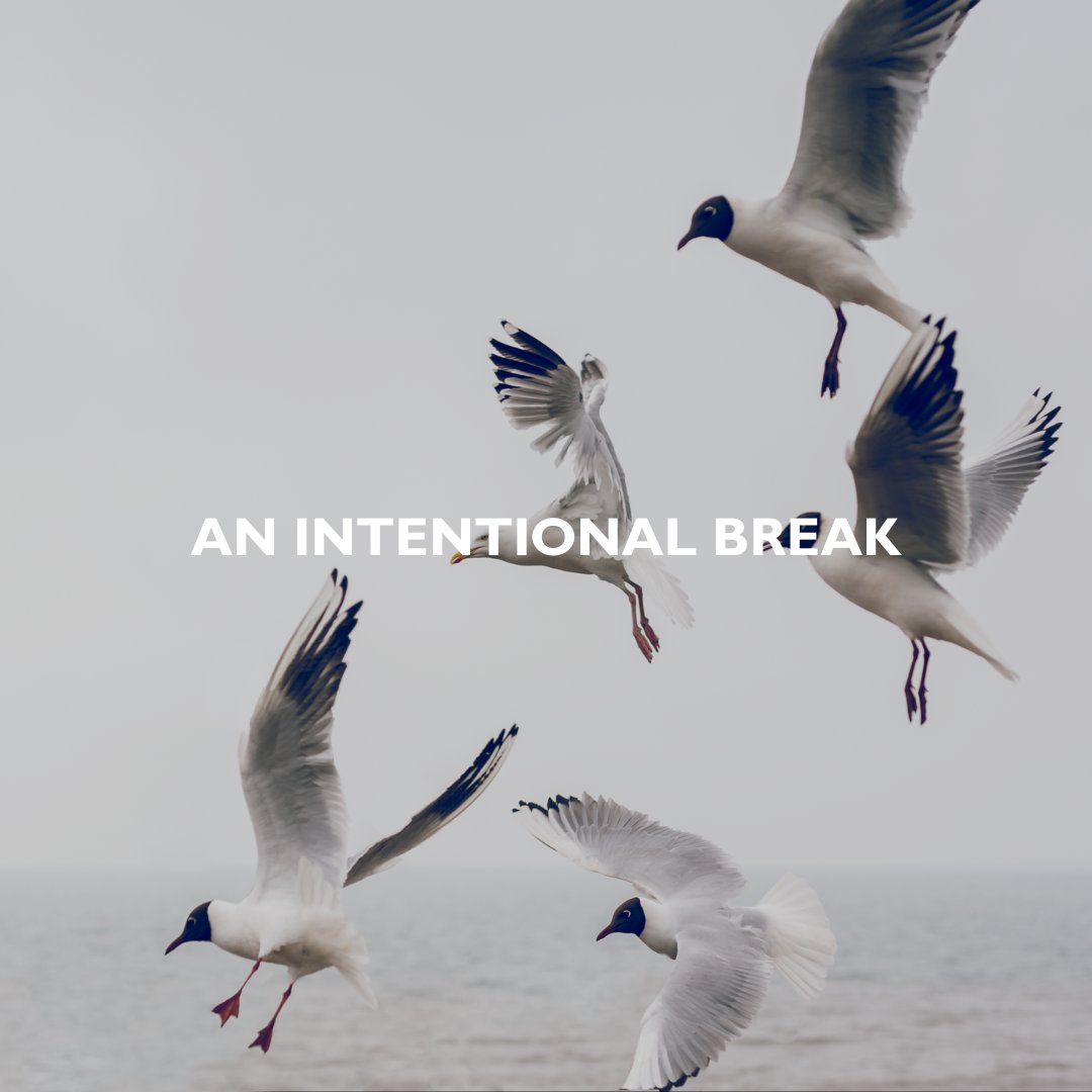 I'm taking a step back from Instagram, Facebook, and X to refocus. With platforms shifting away from stills photography, I’m investing my time in LinkedIn and my website for more meaningful engagement. Still active and shooting—connect with me there.