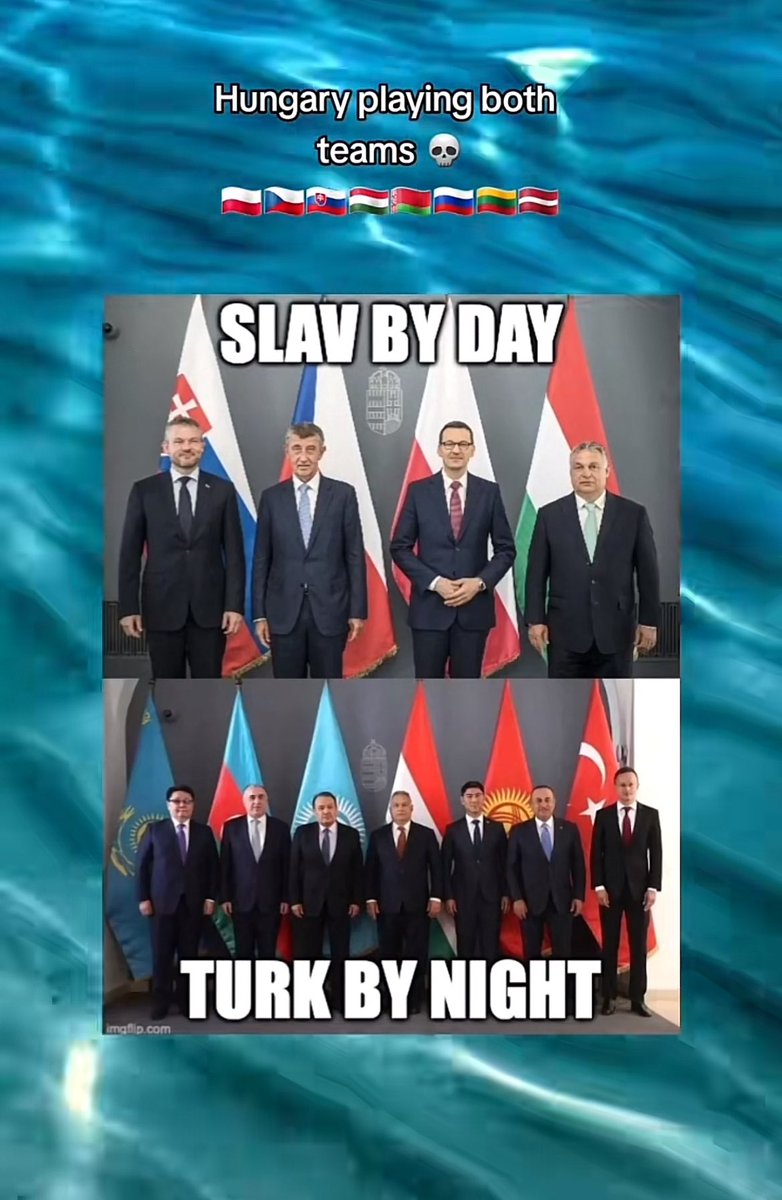 nomadaesthetic's tweet image. 