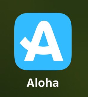 هولستن tweet media