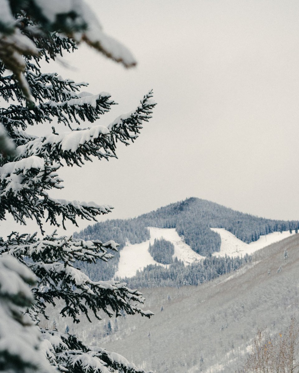 Beaver Creek Resort tweet media