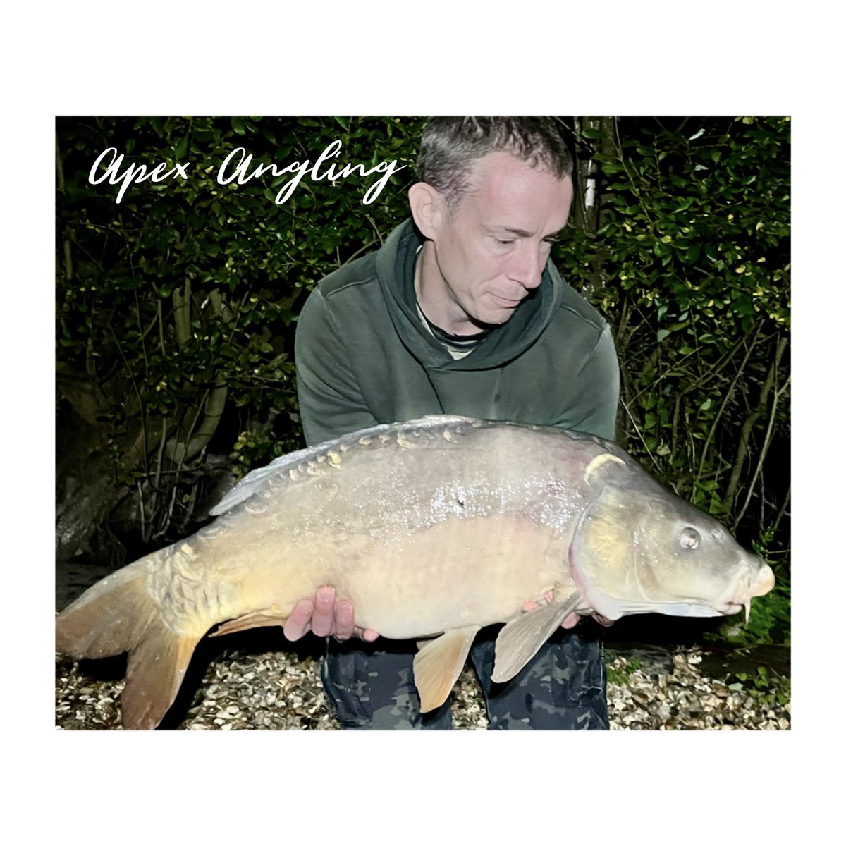 This was my PB Mirror when caught around 7:30pm on 3rd October weighing in at 26lb 10oz. A fish named “Black Spot” - one of the larger fish at this lake 🎣👌🏻

#ApexAngling
#Carpy
#Carpography
#Carp
#CarpFishing
#CarpLife
#CatchAndRelease
#TightLines
#SonikSports
#StickyBaits