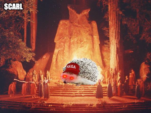 CarlCommunity's tweet image. $Carl is back after touching grass