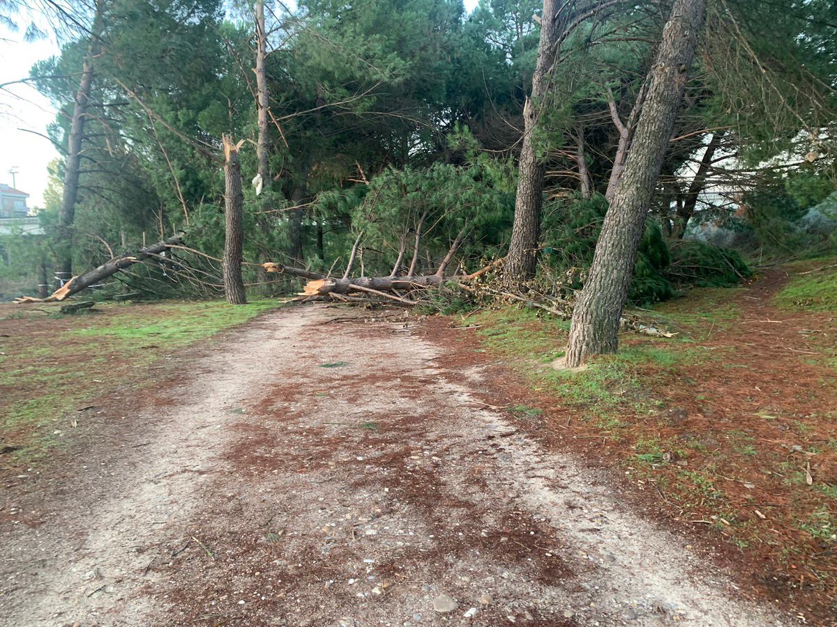 ArroyoMejora's tweet photo. ¿Cuándo se van a limpiar los caminos de @Arroyomolinos ? 8 días llevan así https://t.co/Dv8YC9lq1v