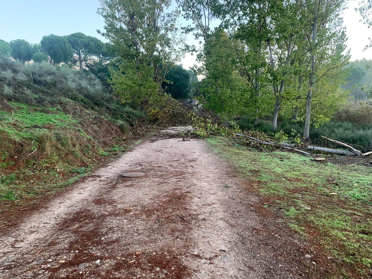 ArroyoMejora's tweet photo. ¿Cuándo se van a limpiar los caminos de @Arroyomolinos ? 8 días llevan así https://t.co/Dv8YC9lq1v