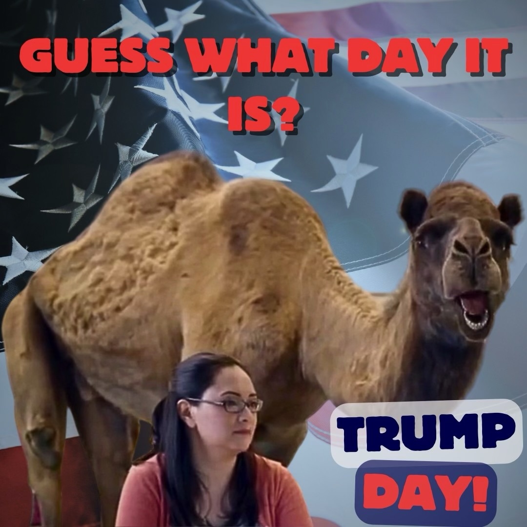 AmericanFirst tweet media