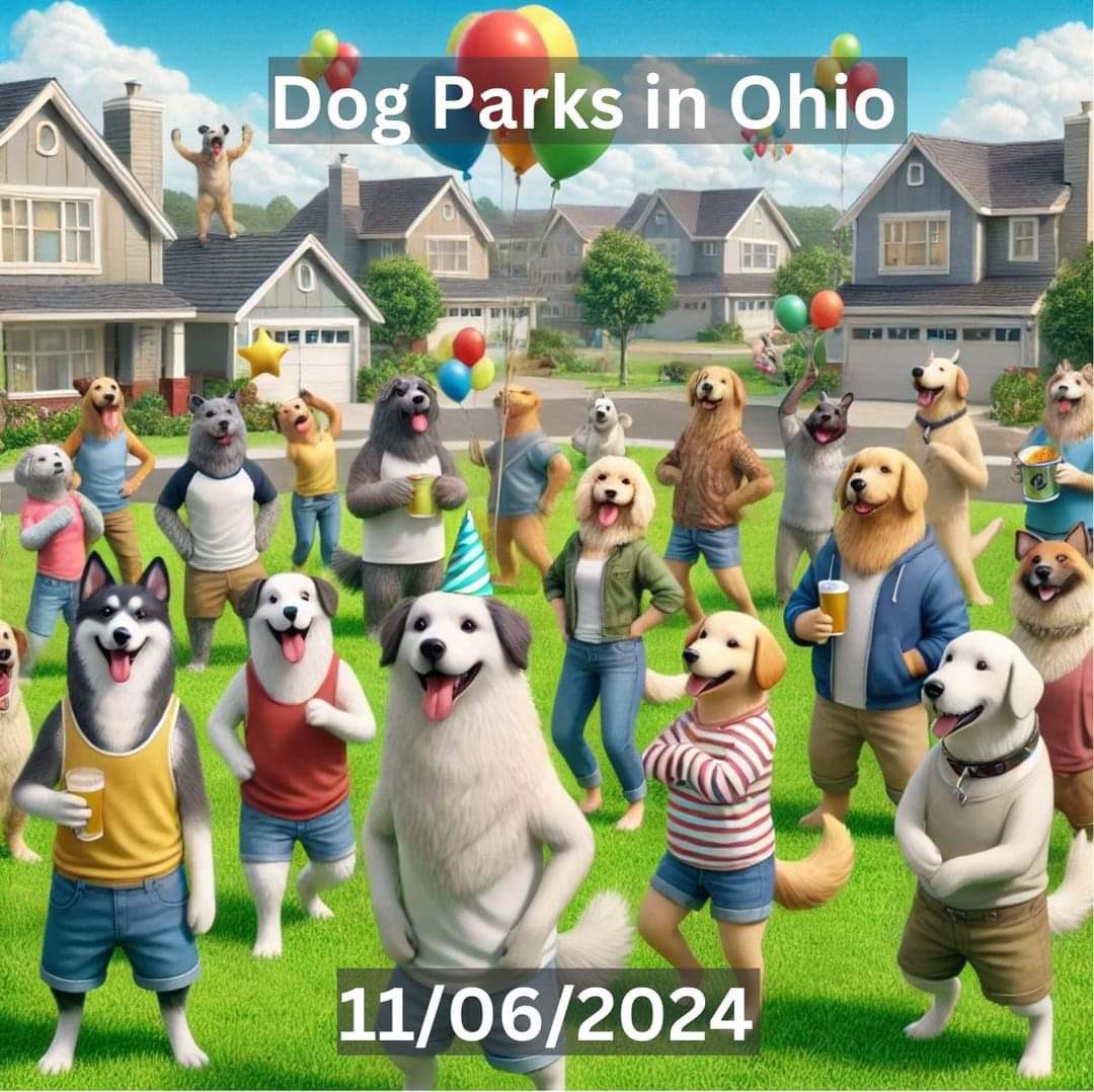 Insurance Soup tweet media