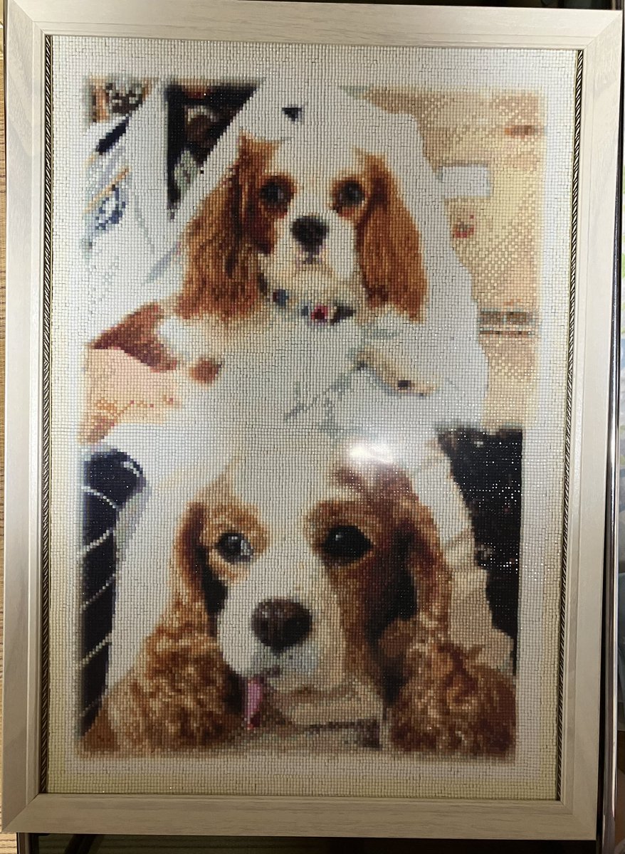 マリン☕🐴 tweet media