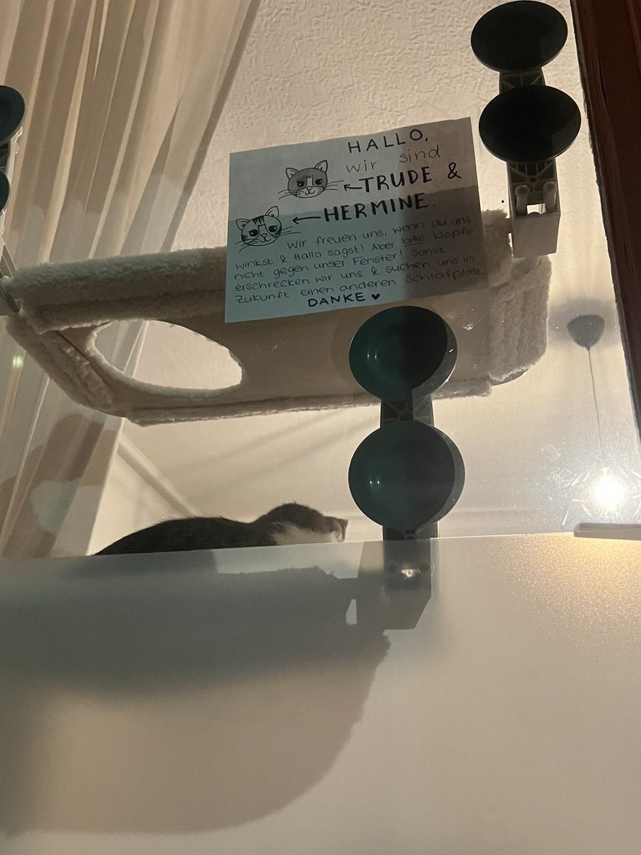 friendly Reminder.: Trude &amp; Hermine bitte nicht erschrecken