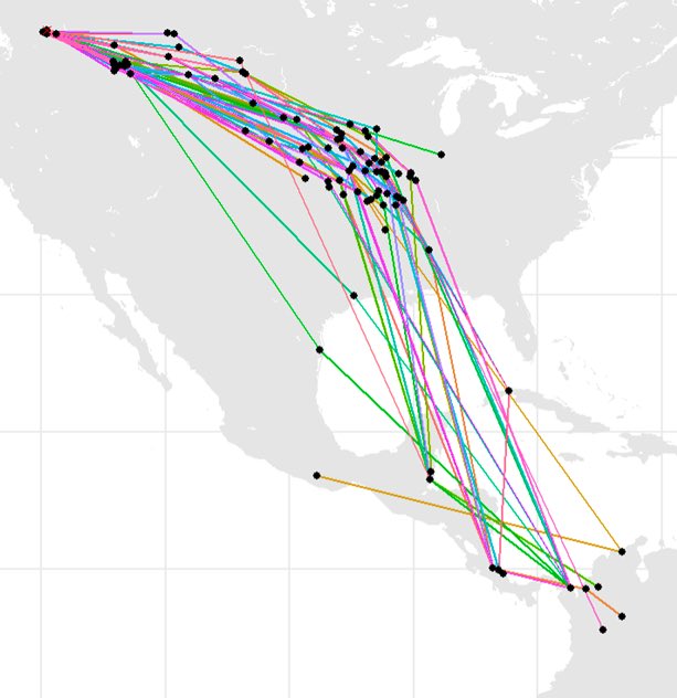 Ana Gonzalez tweet media