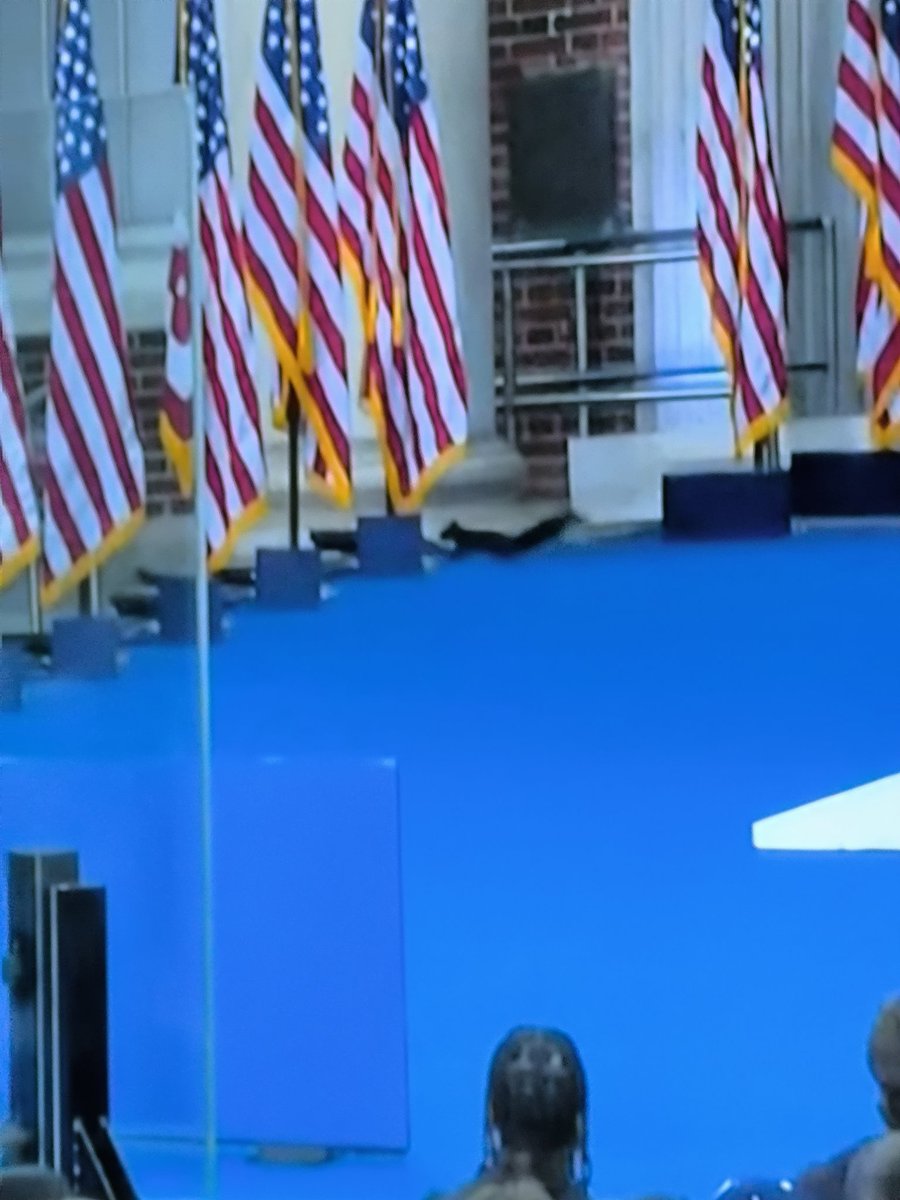 Peanut is alive at <a href="/KamalaHarris/">Kamala Harris</a> speech. Was it all a psyop?