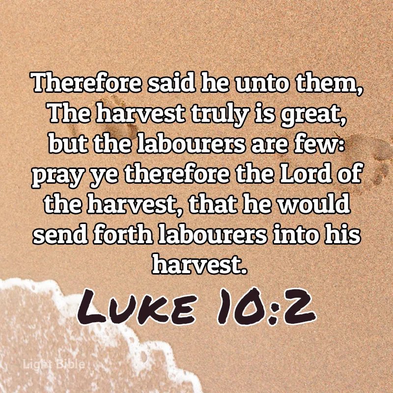 Oyewolesam28's tweet image. God accomplishes miracles through the work of a few people! 

Credit to 
#kjvscripture #KJVBIble #God #jesuschrist #Lordofharvest #labourer #vineyard #messages #evangelism #SOULHarvest #winning  #discipleship #ministeries #Gospel  #GodsPLanIsALwaysTheBest