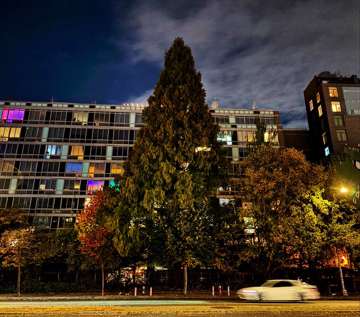 degi14's tweet photo. I can always count on my favorite tree, the Dawn Redwood on Houston Street, to bring me joy, in good times and in bad.
I hope you are all doing ok. Sending love and strength. ❤️ https://t.co/7PiDQG5CMS