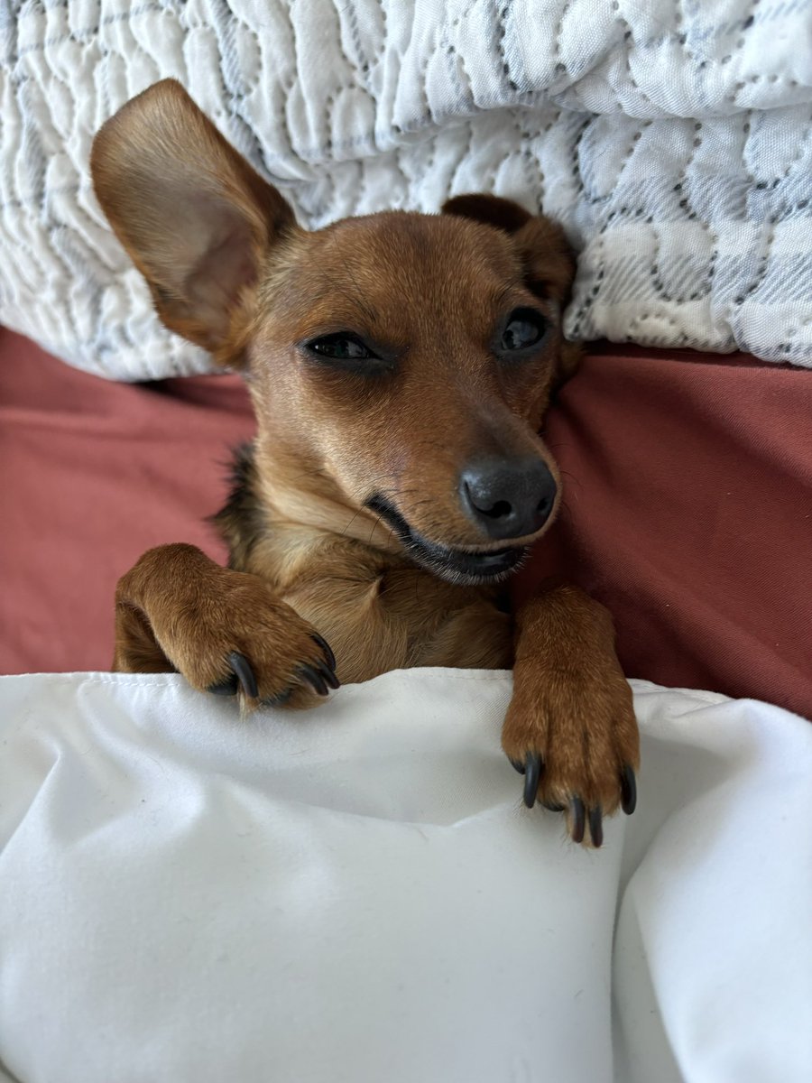 Leb_Zeppelins's tweet photo. Ween Wednesday!!!! #WeenWednesday https://t.co/gHVhsfnmtf