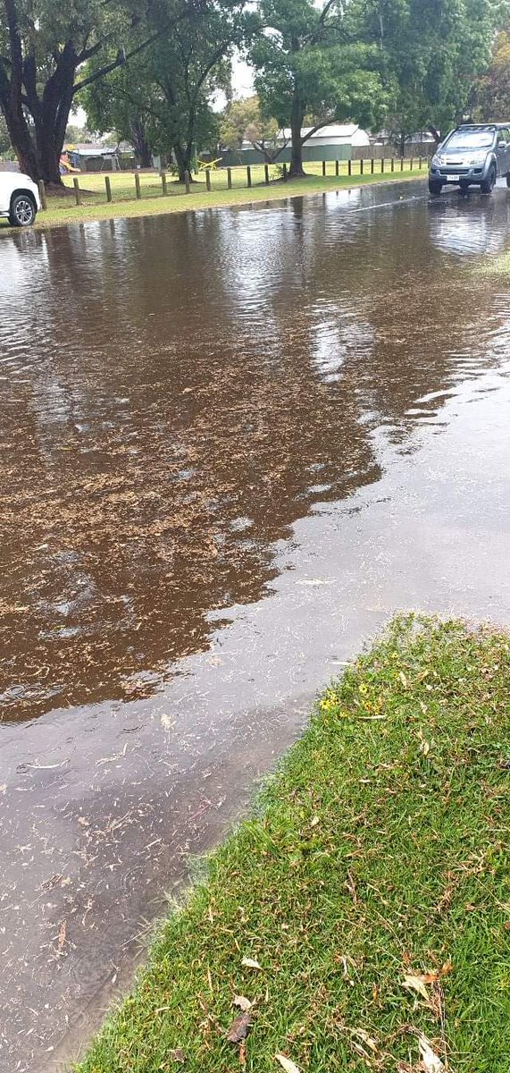 Just a casual 5 min storm managed to flood out everywhere.