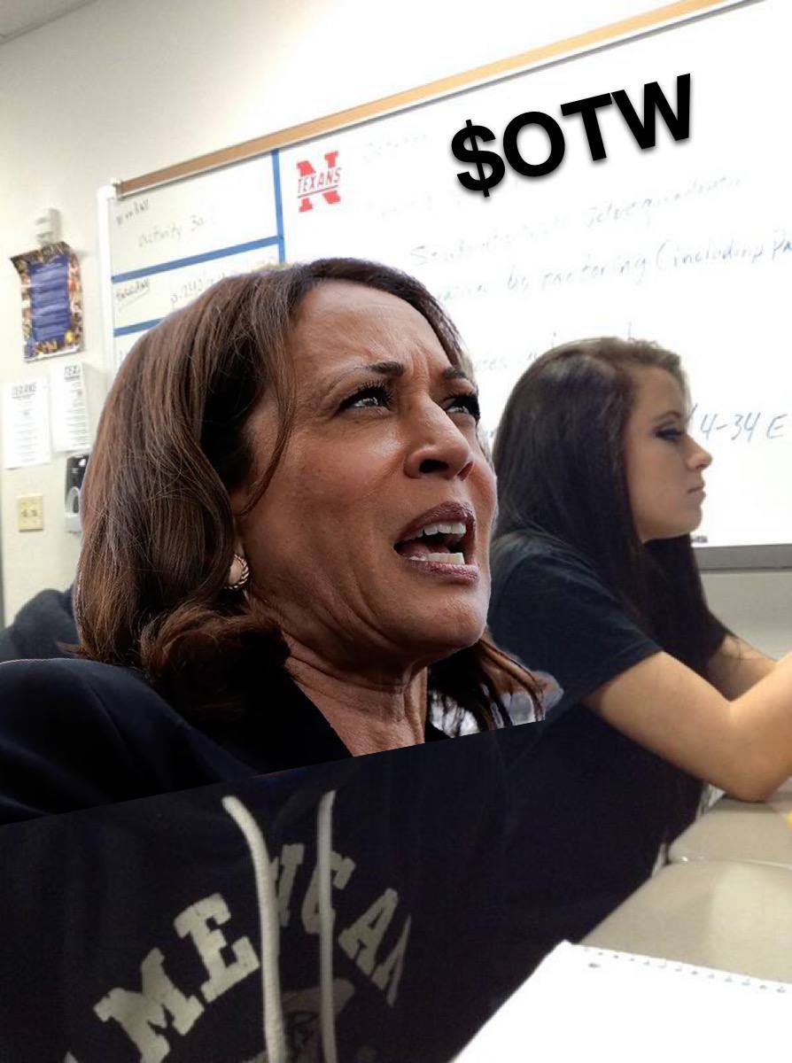 OTWonsol's tweet photo. This gem of a narrative $OTW will make it to ray no matter the cost. DEX will be paid, boost, fatality and more. Let’s bond this thing!

Kamala is Open to Work and needs your help finding a new career path! 

CA: 

8iYfF1i8Rw9CfZDE4oVPvWBaTGBxnu2uiTZhW72zpump https://t.co/UbmT1yPdgt