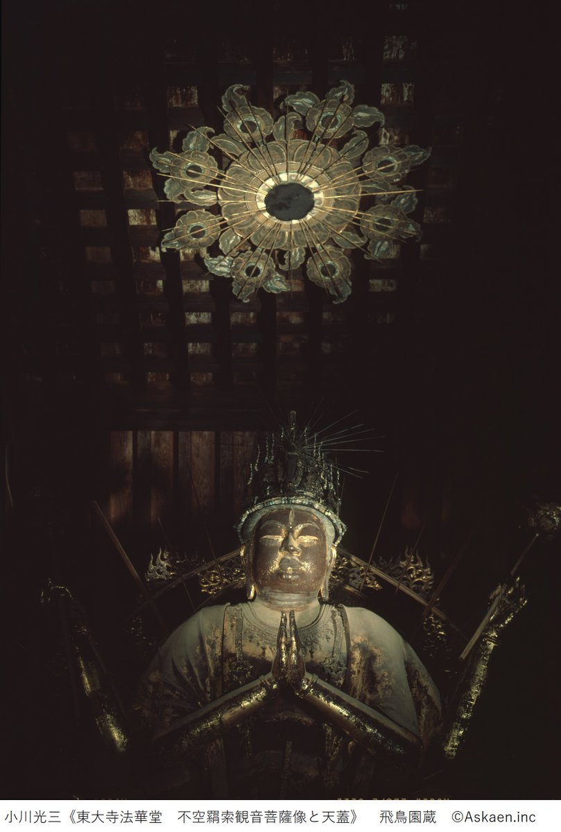 特別展「小川晴暘と飛鳥園 一〇〇年の旅」が開催中です。 小川光三