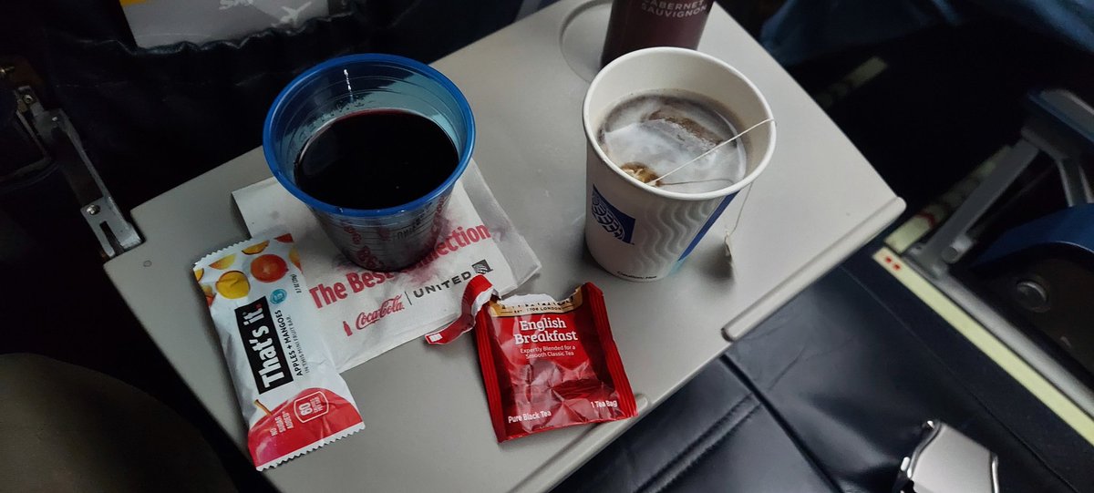 Just ideal non-first class writing on a plane conditions

#amwriting #furrywriting #fantasy