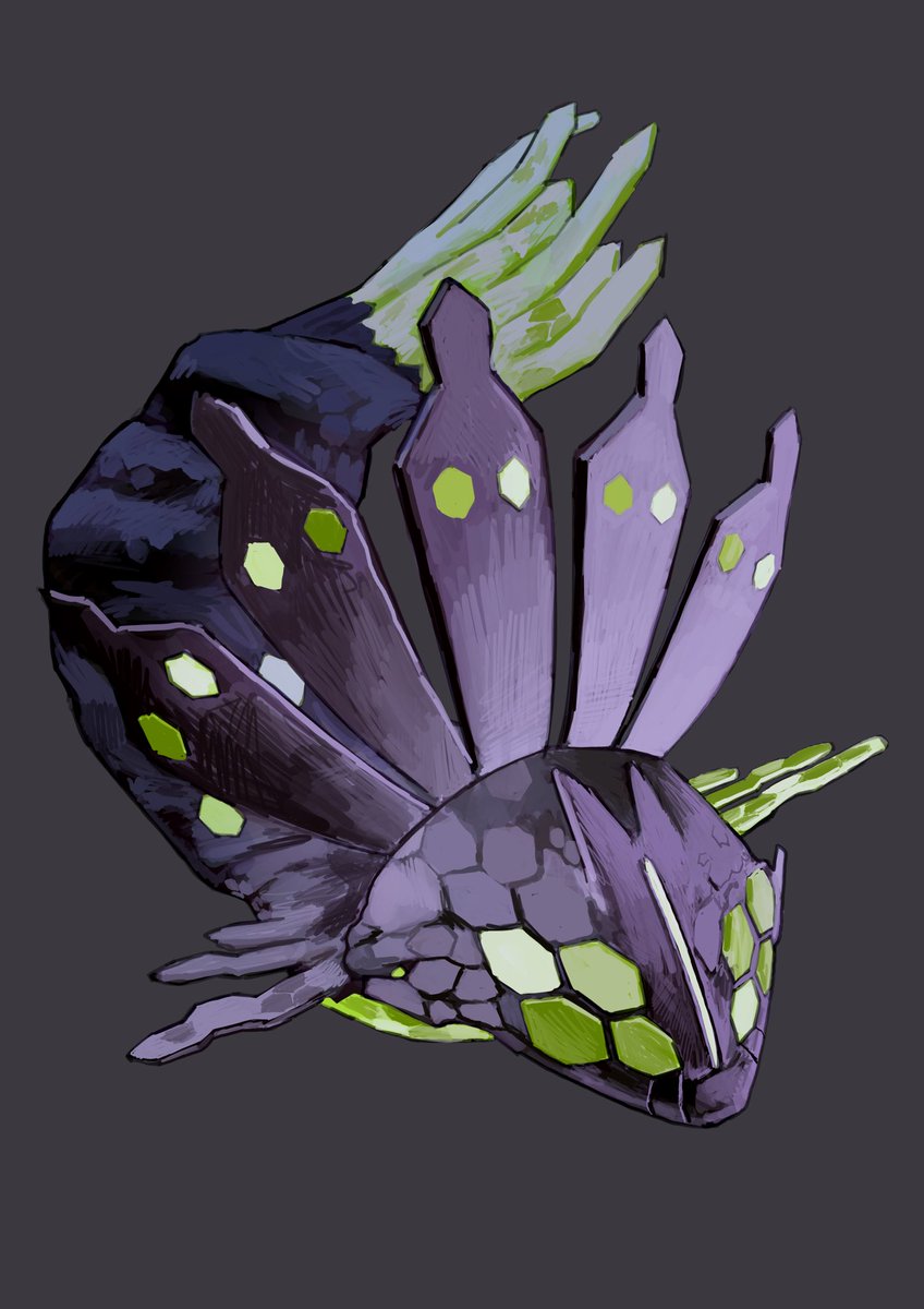 おおきいとら🐯 tweet media