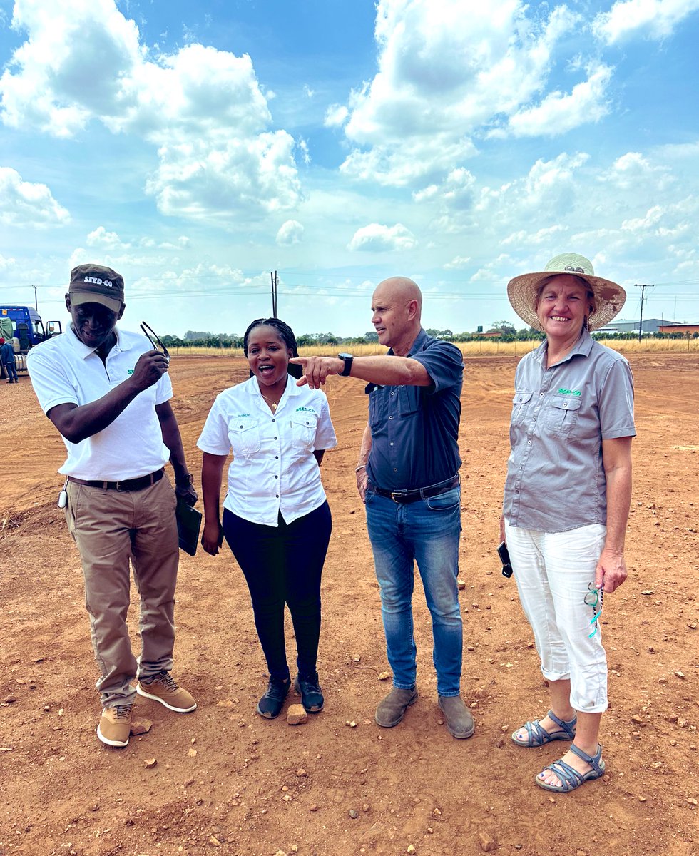 Wendy Matashu Madzura (@wendymadzura) on Twitter photo 📸 At Nyimba Estates, Chisamba farm block close to Lusaka in Zambia who are planning to do over >2000 ha of crop production (maize & soya beans) in summer from <a href="/SeedCoZambia/">SeedCo Zambia</a> with the aim of value addition.
#ItStartsWithTheRightSeed
#TheAfricanSeedCompany 📸 At Nyimba Estates, Chisamba farm block close to Lusaka in Zambia who are planning to do over >2000 ha of crop production (maize & soya beans) in summer from <a href="/SeedCoZambia/">SeedCo Zambia</a> with the aim of value addition.
#ItStartsWithTheRightSeed
#TheAfricanSeedCompany