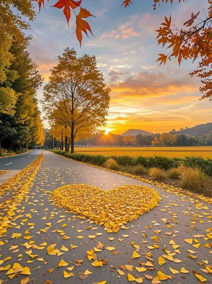 Mita Hossain tweet media