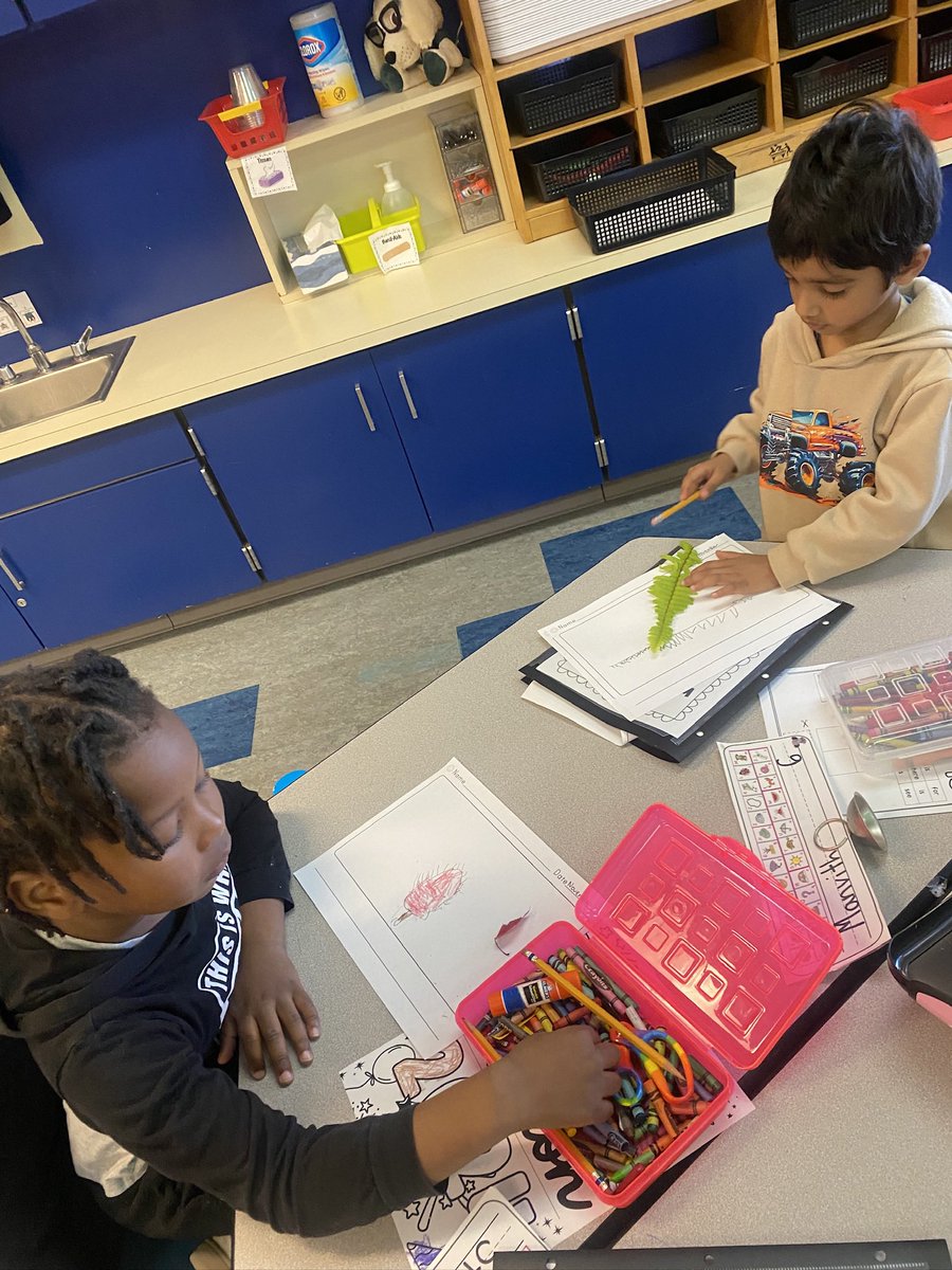 Writers study collected leaves closely and draw all of the tiny details!